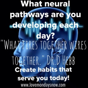 Brain Neural Pathways
